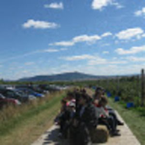 Meet your Posher, Gabrielle